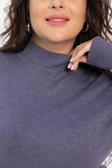 Водолазка Осенняя история (фиолетовая) Б14549-20М