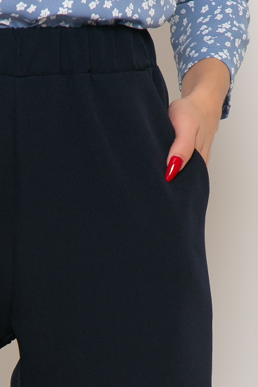 Брюки "Твой день" (темно-синие) Б4878